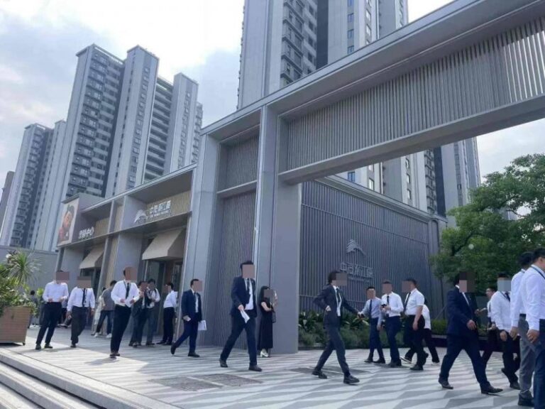 AI软件只需一次脑扫描即可识别多种痴呆症